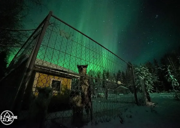 Old Pine Husky Lodge
